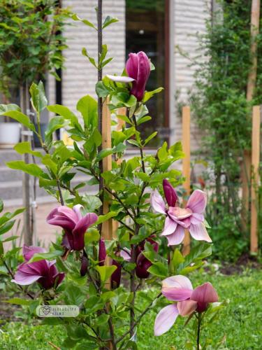 WhatsApp Image 2025-02-07 at 15.12.35 a26abed2