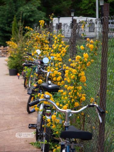 WhatsApp Image 2025-02-07 at 15.12.35 b693e4c6