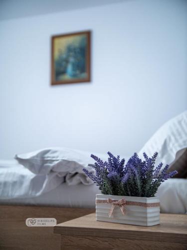 WhatsApp Image 2025-02-07 at 15.17.03 d6425611